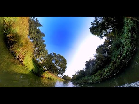 Видео: Киржач 2020 Илейкино - Усад.