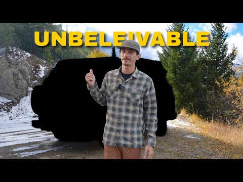 Видео: ПОКУПКА САМОГО ЧИСТОГО VOLKSWAGEN CAMPER НА РЫНКЕ