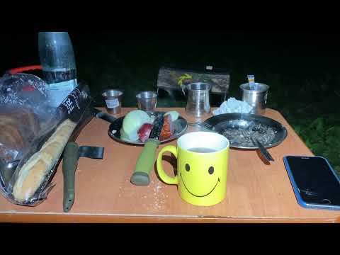 Видео: съездили на охоту на гуся