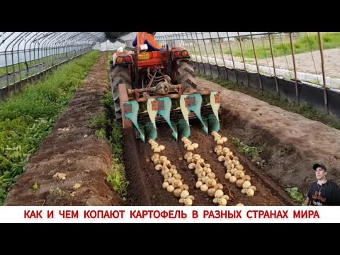 Видео: КАК И ЧЕМ КОПАЮТ КАРТОФЕЛЬ В РАЗНЫХ СТРАНАХ,ПОДБОРКА /HARVESTING POTATOES IN DIFFERENT COUNTRIES