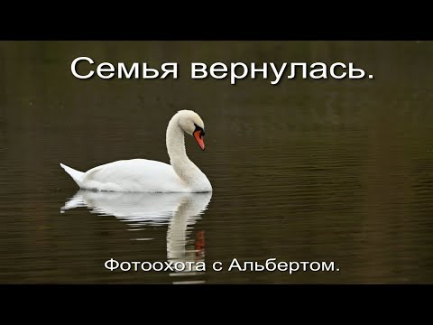 Видео: 31 октября 2025 г.