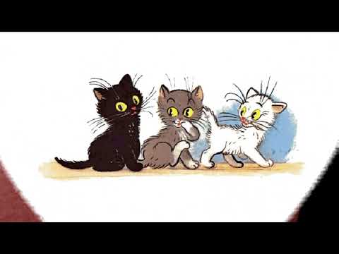 Видео: Троє кошенят