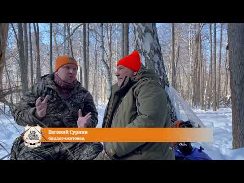 Видео: "Клуб охотников и рыболовов" выпуск 36 Биотехния