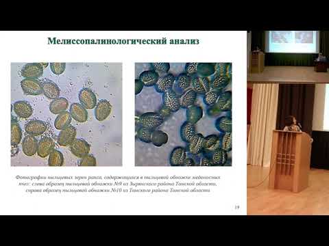 Видео: Встреча пчеловодов Сибири Часть 1
