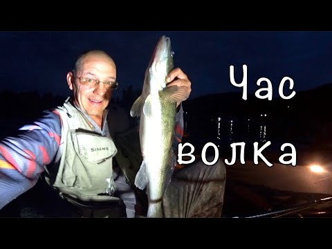 Видео: Ночной СУДАК на пеллагический ДЖИГ с крупной резиной.