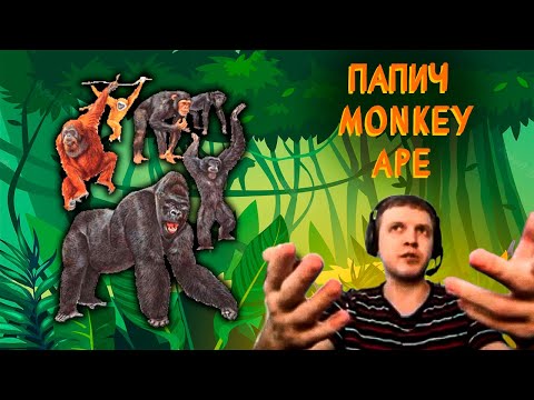 Видео: Папич про силу обезьян (monkeys / apes)