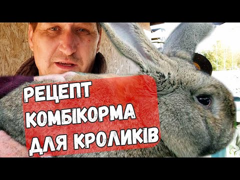 Видео: Роблю гранули для кролів / рецепт гранул з кролеферми / Перемішувач Гранулятор /Оптиміст #18