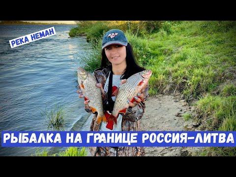 Видео: РЫБАЛКА НА ГРАНИЦЕ . РЕКА НЕМАН