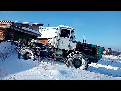 Видео: Необычный способ уборки снега. Тесик начинает приносить пользу