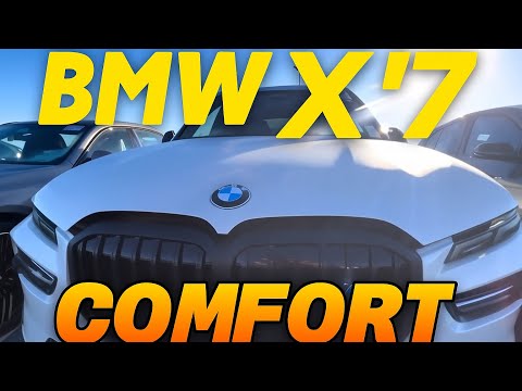 Видео: 1 ноября 2025 г.