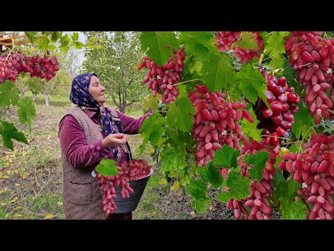 Видео: Бабушка Собрала Много Свежего Винограда, Сварила Варенье и Испекла Пирог.