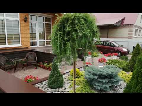 Видео: ПЕРЕУСТАНАВЛИВАЕМ ЛИСТВЕННИЦУ ПЕНДУЛУ.