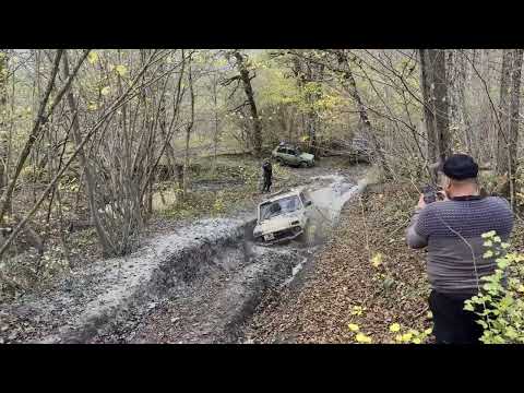 Видео: 19 октября 2025 г.