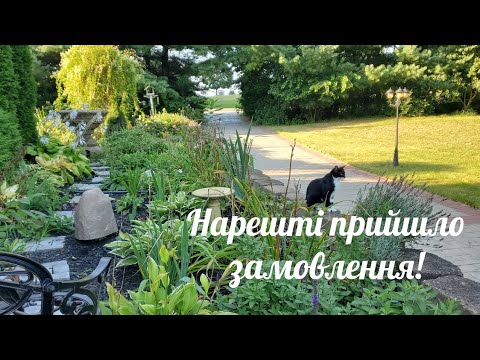 Видео: Замовлення нарешті прийшло - продовжуємо роботу!