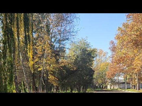 Видео: Господь з нами повсякчас.