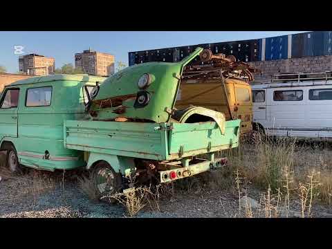 Видео: А за забором - чудо!