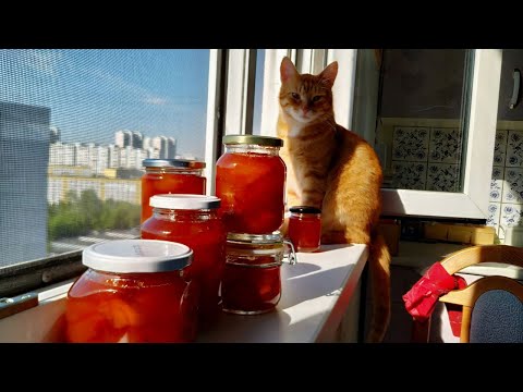 Видео: Варенье из первых абрикосов для ленивых