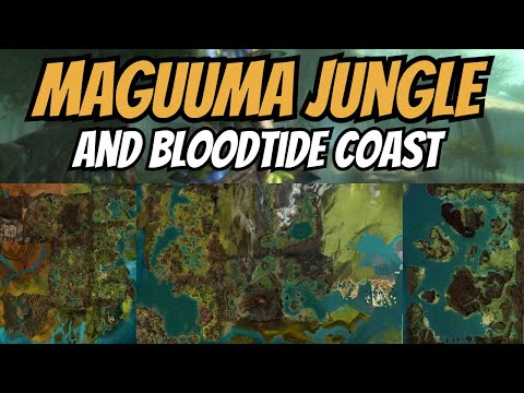 Видео: 30 самых интересных мест в джунглях Магуума и на побережье Кровавого прилива