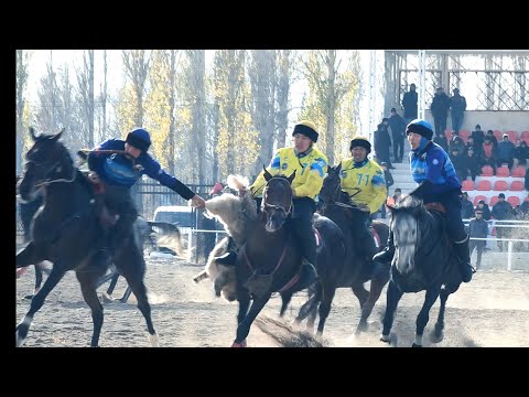 Видео: Чүй & Ысык Көл / Чоңдордун тиреши!