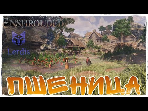 Видео: Enshrouded Где найти Пшеницу