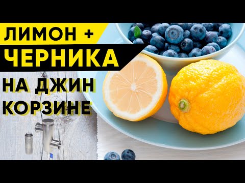 Видео: Чернично-лимонная водка на джин-корзине