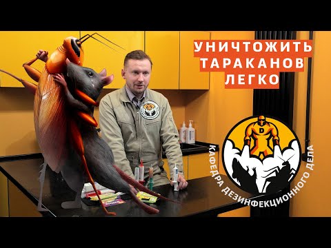 Видео: Уничтожить тараканов - гелем. Легко и практически бесплатно