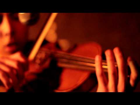 Видео: Состояние птиц