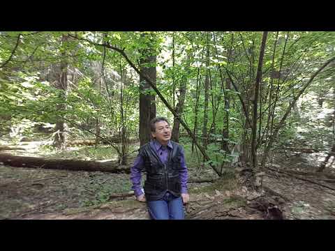 Видео: Как открываются сверхспособности? Стоит ли их открывать? (часть 1)