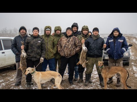 Видео: Состязание Борзых Собак (Кубок Одиночек) 21.12.2022