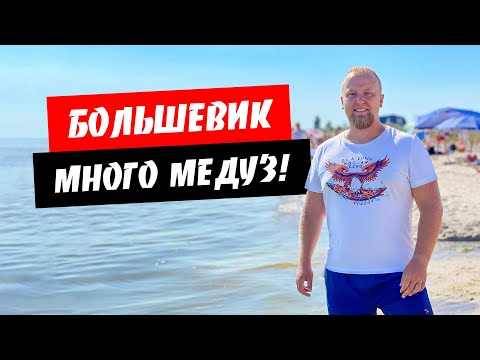 Видео: Приморское (Большевик). Много медуз! Тихий и дикий отдых. Обзор курорта Приморское (Большевик)