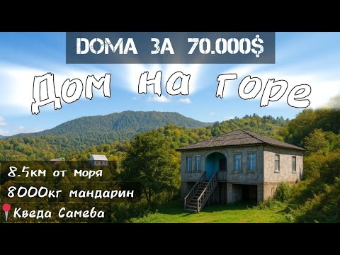 Видео: Дом с 10 тоннами фруктов, чистым воздухом и панорамным видом на долину | Загородный дом 🏠 в Грузии 