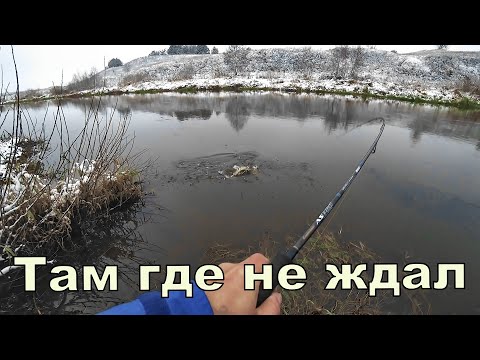 Видео: Клюёт там где не ждёшь. Спиннинг с берега. Первый снег