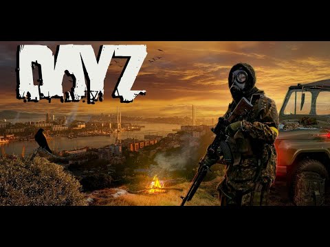 Видео: DayZ STALKER PVE WINGS NH2  Добиваем Мастера  DayZ#