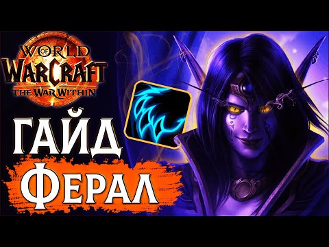 Видео: 🦁ПвП Гайд на Ферал Друида ТВВ | PvP WoW the War Within 11.0.2 #wow #jekoma #pvp