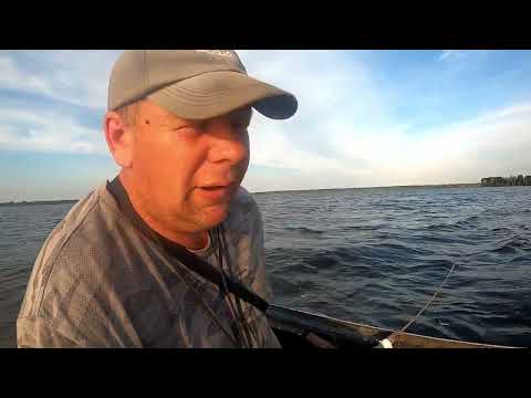 Видео: Ловля судака на троллинг