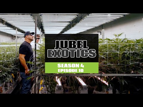 Видео: Сезон 4, серия 10 | Оклахома — это Дикий Запад