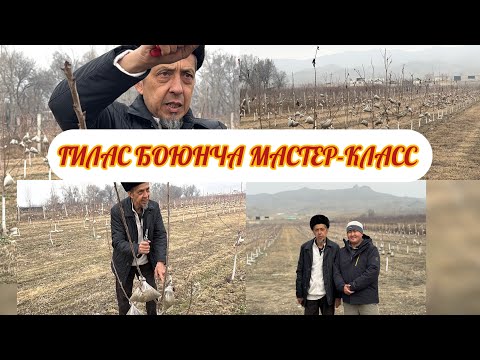 Видео: ГИЛАСТИ КАНТИП ТУУРА КАРАЙБЫЗ И КАНТКЕНДЕ ТЕЗ МОМО БЕРЕ БАШТАЙТ/ СИЗДЕР УЧУН МАСТЕР-КЛАСС 1-БОЛУМ