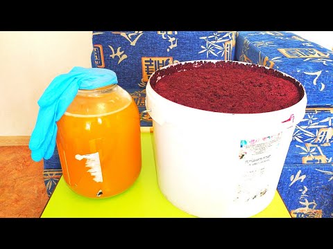 Видео: Почему Вино не Бродит.Быстрое решение