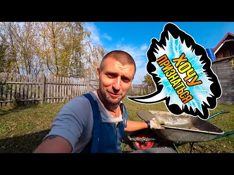 Видео: Почему я уехал из США. ВОТ РАДИ ЧЕГО Я ВЕРНУЛСЯ ИЗ США