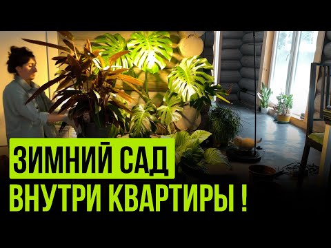 Видео: БЫСТРО и ПРОСТО создаём зимний сад у вас дома