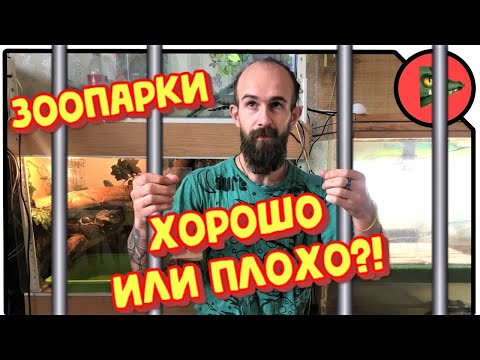 Видео: ЗООПАРКИ! Хорошо это или плохо?