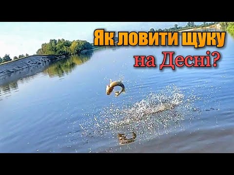 Видео: ЯК ЛОВИТИ і ДЕ ШУКАТИ ЩУКУ на ДЕСНІ?