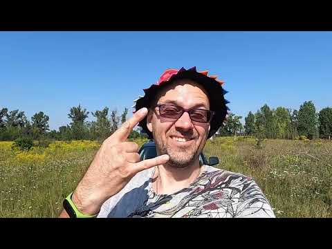 Видео: 🚗 Большой обзор большого автомобиля, минивен SUV Додж Джорни Кросроуд 4х4 2017.