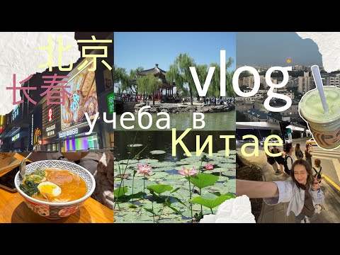 Видео: учеба в китае влог ⋆｡°🍡°⋆. ࿔ пекин, чанчунь 🪷 будни, еда, шоппинг и пары в китайском университете 