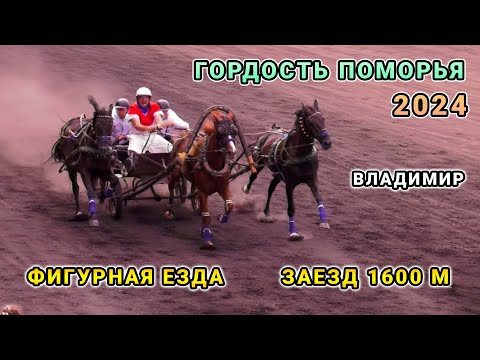 Видео: Владимирская тройка - Фигурная езда и заезд 1600 м - Гордость Поморья 2024