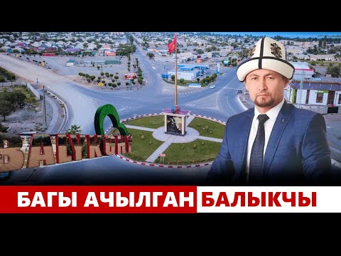 Видео: Багы ачылган Балыкчы