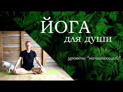 Видео: Йога для души / "собаки чуть не съели йога" / Алексей Казубский