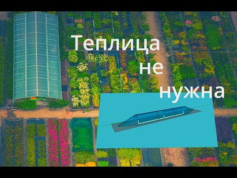 Видео: Теплица не нужна