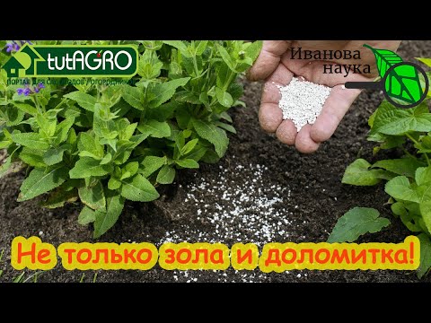 Видео: БЕЗ ЗОЛЫ и ДОЛОМИТКИ. Раскисляющая быстрая подкормка. Щелочные удобрения творят чудеса!