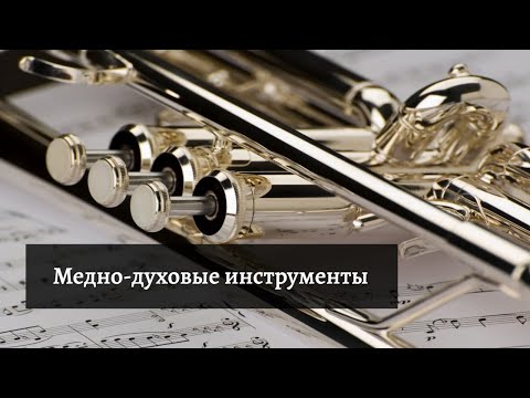 Видео: Путешествие в мир симфонического оркестра, часть 3. Медно-духовые инструменты